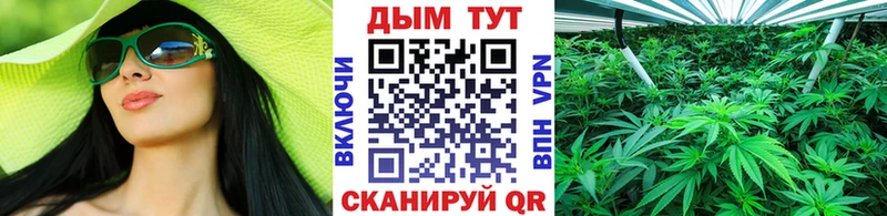Шишки марихуана конопля  Шахты 